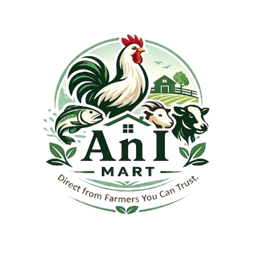 ANiImart Logo